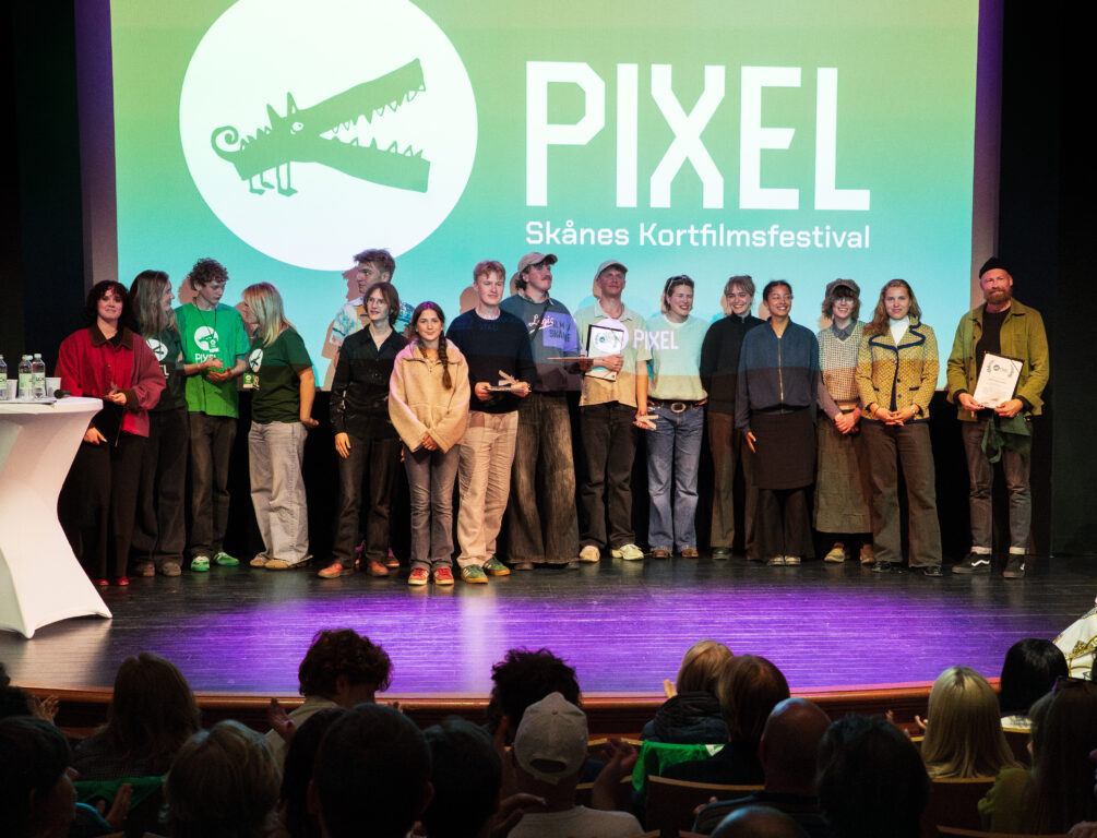 Årets Pixel-pristagare 2026 (16-100år)