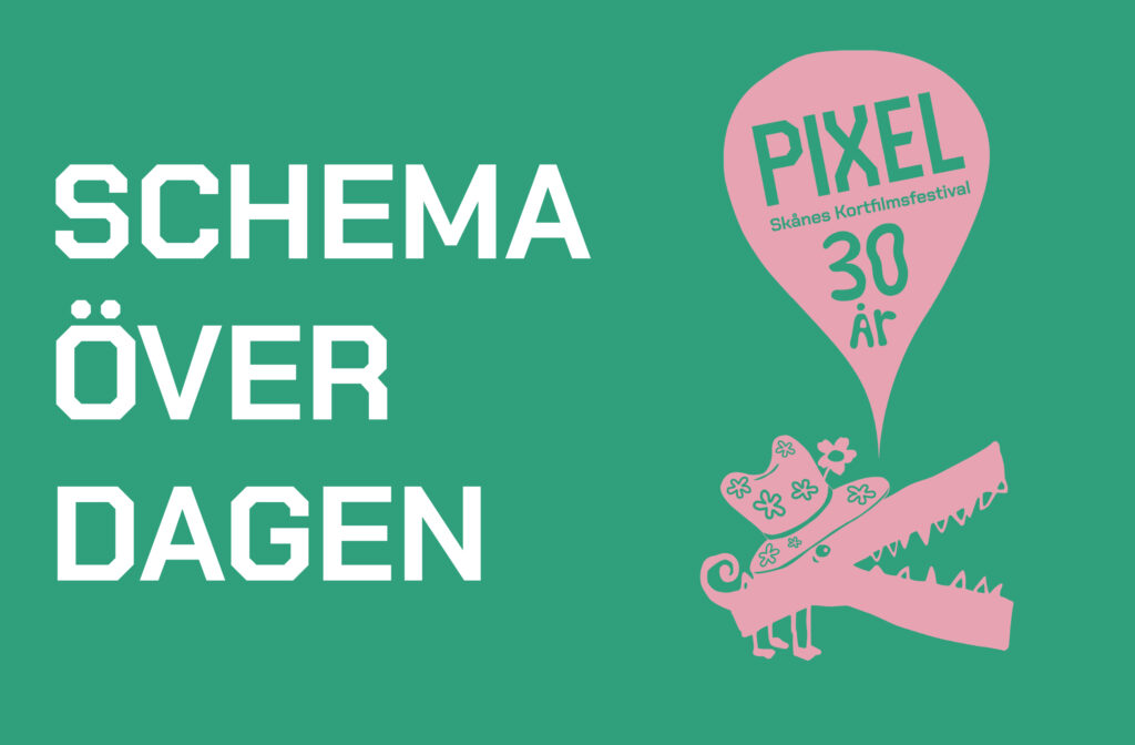 Schema över Pixeldagen